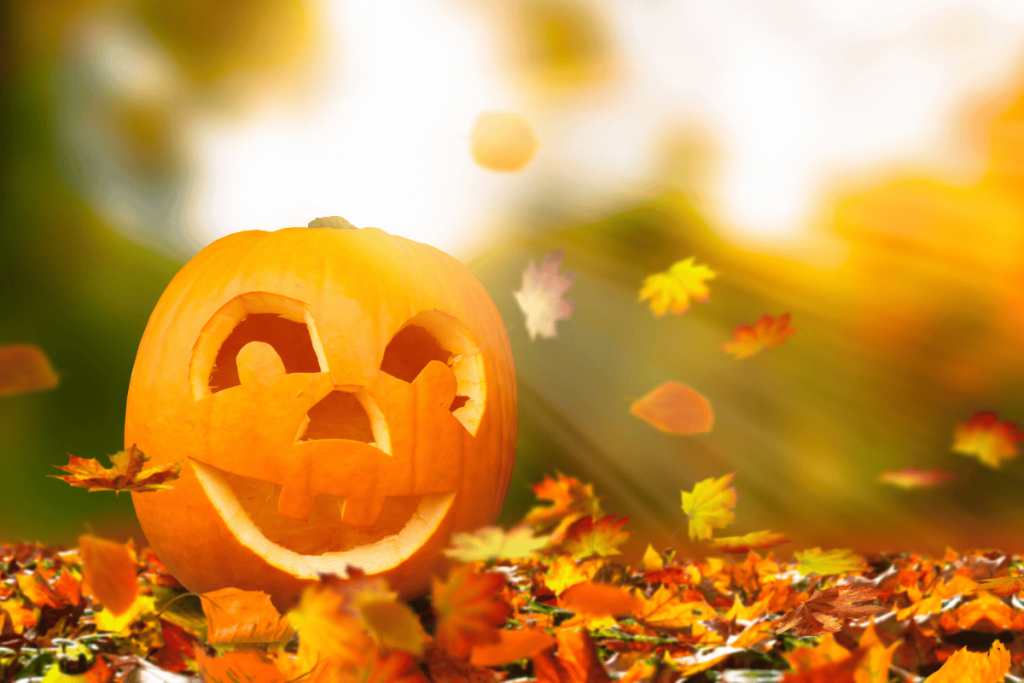 Copy of Untitled Design-33