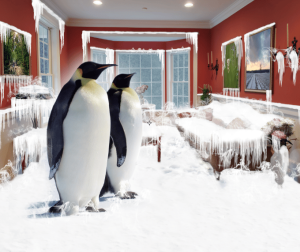 Penguins_In_Cold_Home