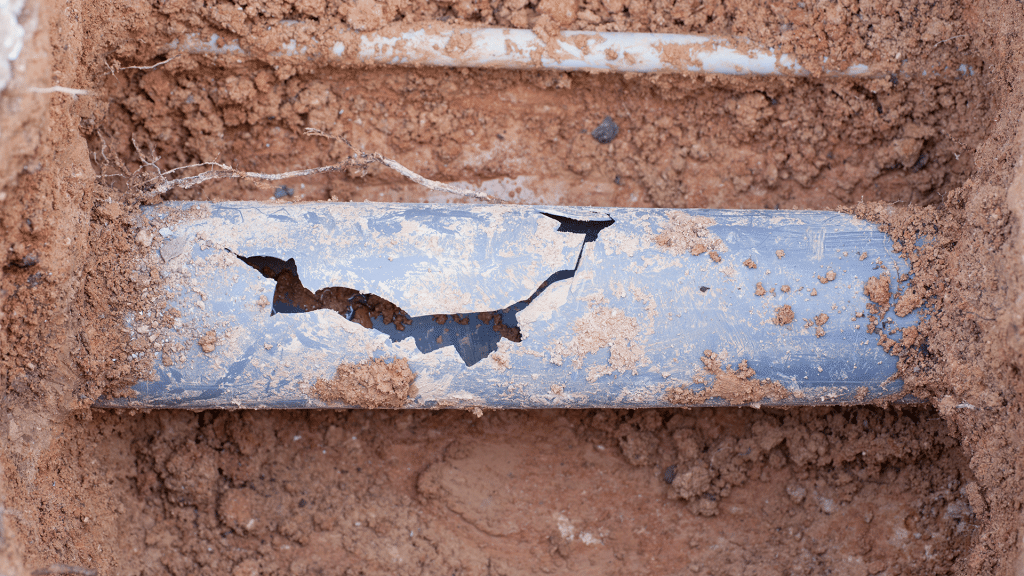 Broken Sewer Pipe