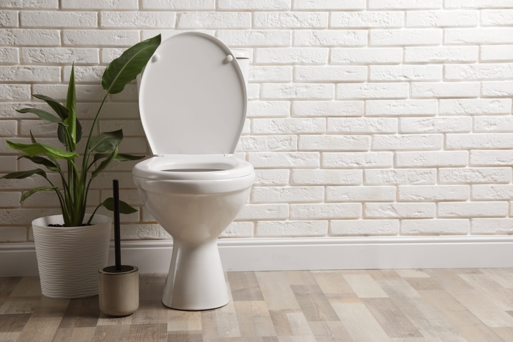 Ceramic,Toilet,Bowl,,Brush,And,Houseplant,Near,White,Brick,Wall